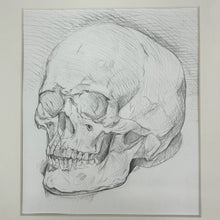 Load image into Gallery viewer, Original Sketching of Skull
