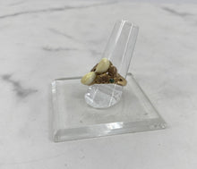 Load image into Gallery viewer, Milk Tooth &amp; Emerald 14 K Gold Ring
