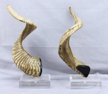Load image into Gallery viewer, Pair of Horns Mounted on Lucite
