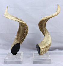 Load image into Gallery viewer, Pair of Horns Mounted on Lucite
