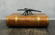 Load image into Gallery viewer, Dragonfly on Book
