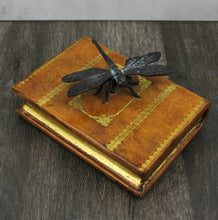 Load image into Gallery viewer, Dragonfly on Book
