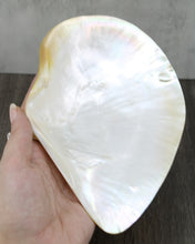 Load image into Gallery viewer, Shell Caviar Service, Mother of Pearl
