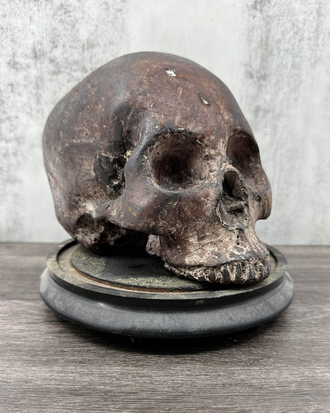 Cast Bronze Life Size Skull