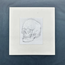 Load image into Gallery viewer, Original Sketching of Skull
