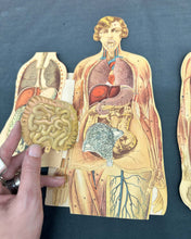 Load image into Gallery viewer, Vintage Anatomical Die Cuts
