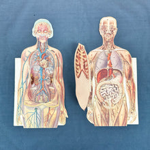 Load image into Gallery viewer, Vintage Anatomical Die Cuts
