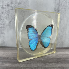 Load image into Gallery viewer, Vintage Lucite Butterfly Specimen
