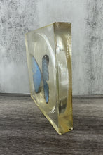 Load image into Gallery viewer, Vintage Lucite Butterfly Specimen
