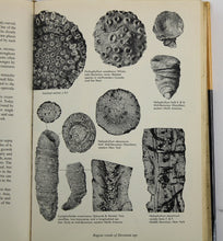 Load image into Gallery viewer, The Fossil Book by Carroll and Mildred Fenton

