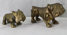 Load image into Gallery viewer, Brass Bulldog Duo
