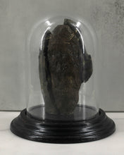 Load image into Gallery viewer, Coprolite Under Glass

