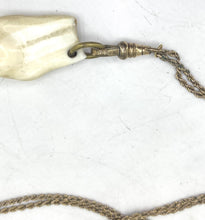Load image into Gallery viewer, Victorian Guard Chain with Elk Tooth Fob
