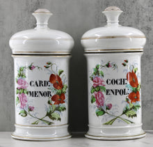 Load image into Gallery viewer, French Faience Apothecary Jar Set
